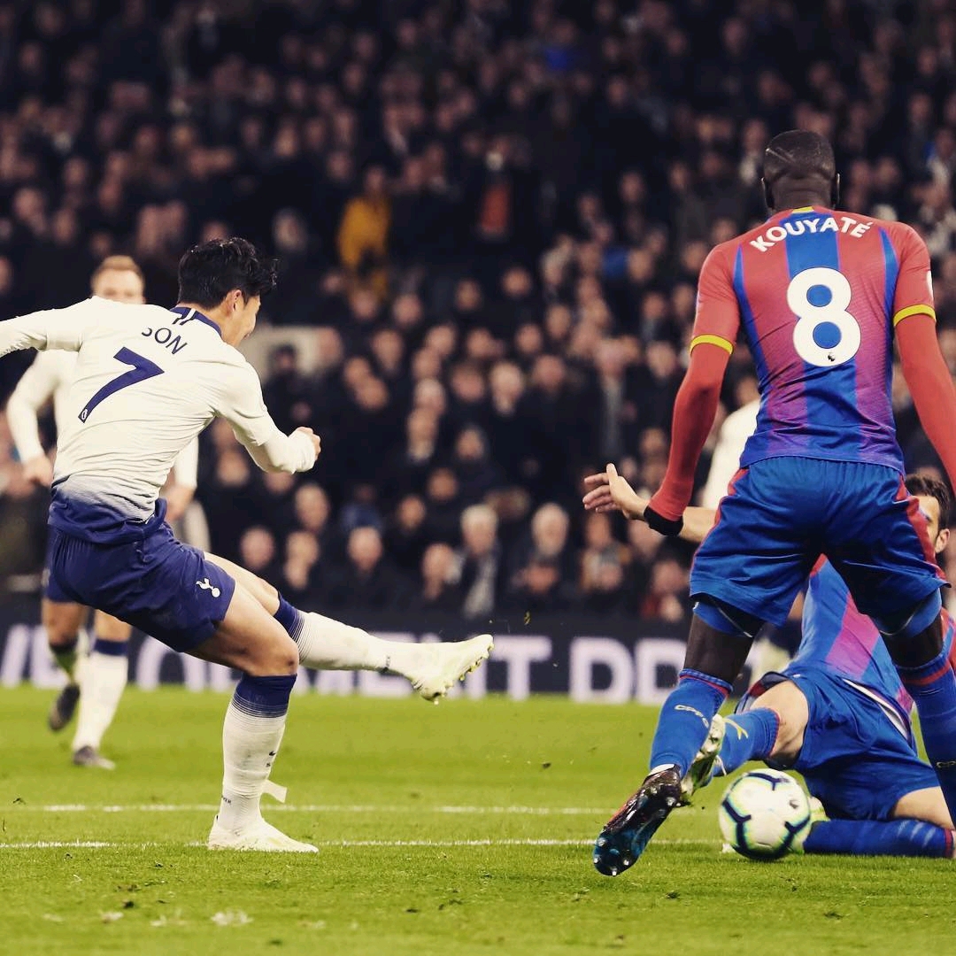 阵容名单 阵容名单